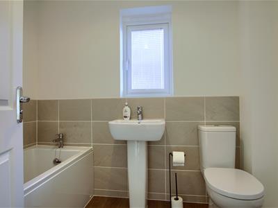 Picture 9